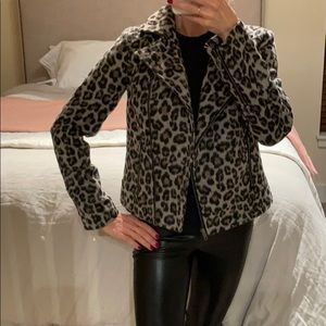Cashmere and cupcakes leopard moto jacket